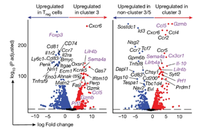 Nature：免疫系統(tǒng)在對抗癌癥的過程中最大的敵人居然是自己！