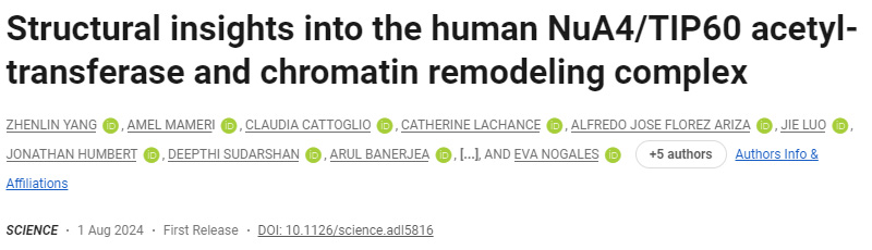 人類NuA4/TIP60乙酰轉(zhuǎn)移酶和染色質(zhì)重塑復(fù)合物的結(jié)構(gòu)見解