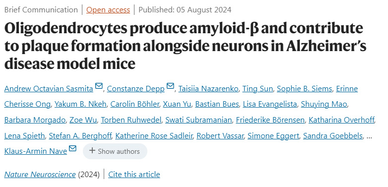 少突膠質(zhì)細(xì)胞在阿爾茨海默病模型小鼠中產(chǎn)生淀粉樣蛋白-β，并與神經(jīng)元一起促進(jìn)斑塊形成