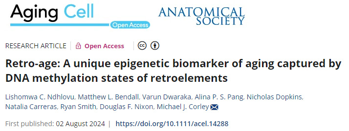 Retro-age：一種由逆轉(zhuǎn)錄元件的DNA甲基化狀態(tài)捕獲的獨特的衰老表觀遺傳生物標志物