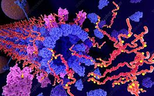 Tau不僅是“壞人”，它還扮演著“好人”的角色，保護(hù)我們的大腦