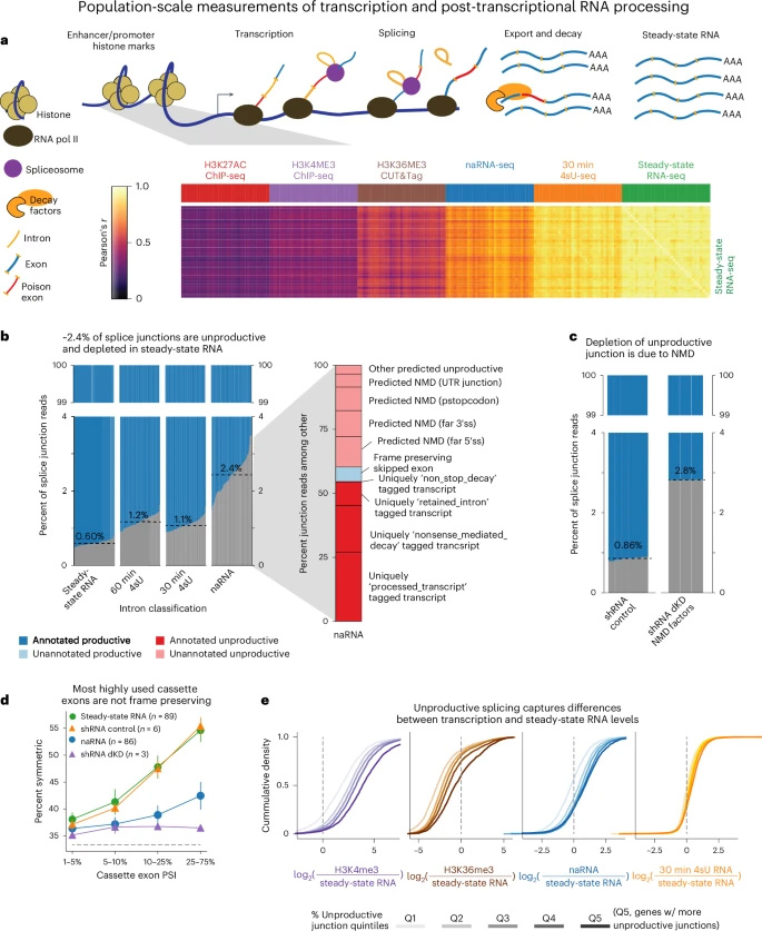 在轉(zhuǎn)錄之前、期間和之后捕獲的基因組數(shù)據(jù)揭示了NMD亞型的豐富性