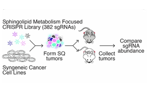 《Nature》脂質(zhì)分子怎樣促進(jìn)癌癥生長？