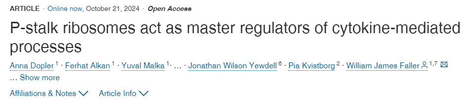 
P-莖區(qū)核糖體是細胞因子介導過程的主要調(diào)節(jié)因子