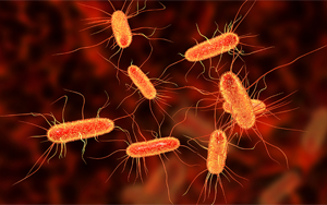 《Nature》腸道中的某些大腸桿菌如何促進(jìn)結(jié)腸癌？