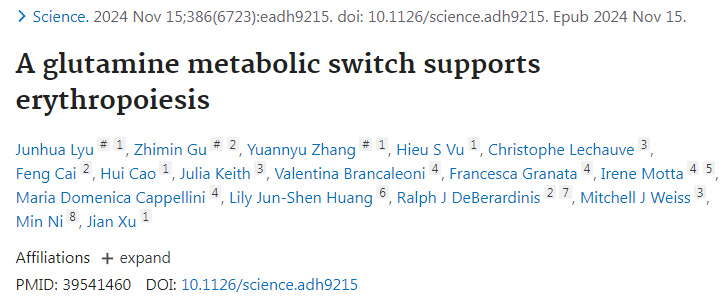 谷氨酰胺代謝開關支持紅細胞生成