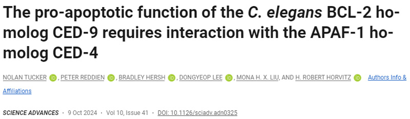 秀麗隱桿線蟲(chóng)BCL-2同源物CED-9的促凋亡功能需要與APAF-1同源物CED-CED-4相互作用