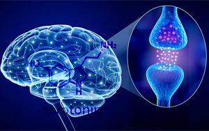 Nature提出了第一個(gè)直接證據(jù)：支持幾十年前的多巴胺-血清素對(duì)立假說(shuō)