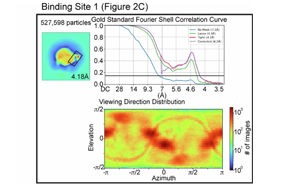 Nature里程碑成果：首次證明了“壞”膽固醇如何從血液中被清除的機制
