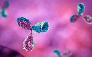 Seebio 病理級抗體 點(diǎn)亮您的免疫組化病理檢測