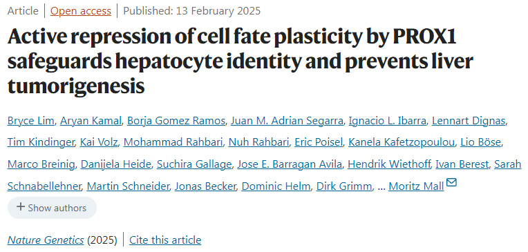 PROX1對細胞命運可塑性的主動抑制保護了肝細胞的身份并預(yù)防了肝臟腫瘤的發(fā)生