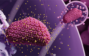 生物醫(yī)藥領(lǐng)跑2024《科學(xué)》十大突破：從艾滋病到CAR-T療法，未來已來