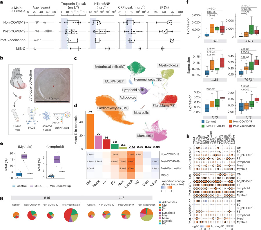 非COVID-19、COVID-19后以及疫苗接種后的炎癥性心肌病具有獨(dú)特的細(xì)胞和分子特征