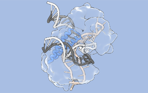 Science：張鋒團(tuán)隊(duì)擴(kuò)大基因組編輯的工具箱