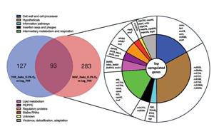 PNAS：萬萬沒想到，結(jié)核桿菌自己提供促進(jìn)空氣傳播的基因