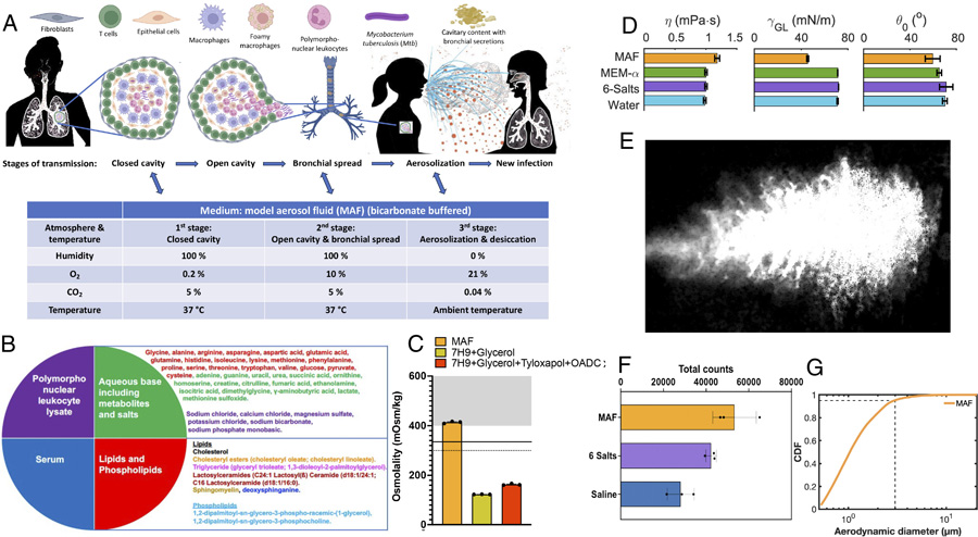 流體和大氣模擬傳輸?shù)娜齻€階段 流體和大氣模擬傳輸?shù)娜齻€階段