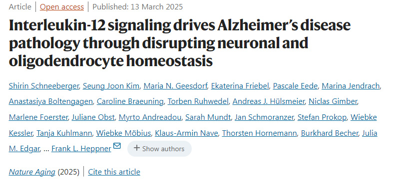 白細(xì)胞介素-12信號(hào)通路通過破壞神經(jīng)元與少突膠質(zhì)細(xì)胞穩(wěn)態(tài)驅(qū)動(dòng)阿爾茨海默病病理進(jìn)程