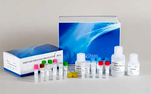 新品上市|硫酸軟骨素/硫酸皮膚素定量檢測試劑盒-關(guān)注糖胺聚糖檢測，助力藥品安全與科研創(chuàng)新！
