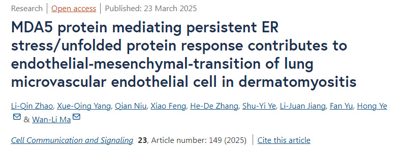 MDA5蛋白介導的持續(xù)性內質網(wǎng)應激/未折疊蛋白反應促進皮肌炎中肺微血管內皮細胞的內皮-間質轉化