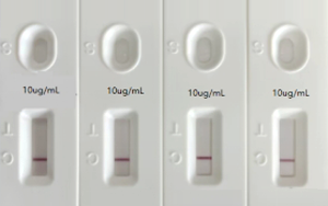 人偏肺病毒（hMPV）抗原檢測-免疫層析 （膠體金、彩色乳膠及熒光免疫層析）解決方案