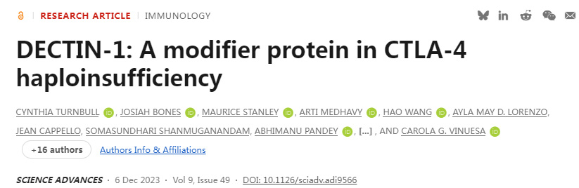 CTLA-4單倍劑量不足中的一種修飾蛋白