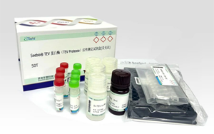 深度求索“TEV 蛋白酶”應(yīng)用場景與檢測
