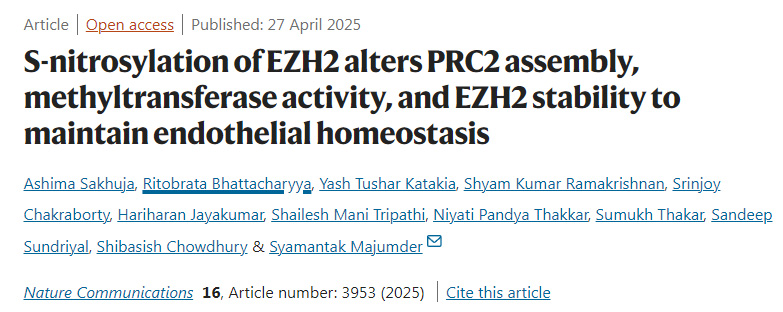 EZH2的S-亞硝基化通過改變PRC2復(fù)合物的組裝、甲基轉(zhuǎn)移酶活性及EZH2的穩(wěn)定性來維持內(nèi)皮穩(wěn)態(tài)