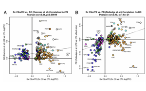 Nature Aging：中年人如何患上癡呆癥？可能與這些蛋白質(zhì)有關(guān)