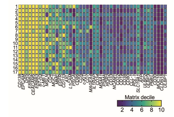  上皮細胞CAR抗原在結(jié)直腸癌肝轉(zhuǎn)移患者樣本中表達