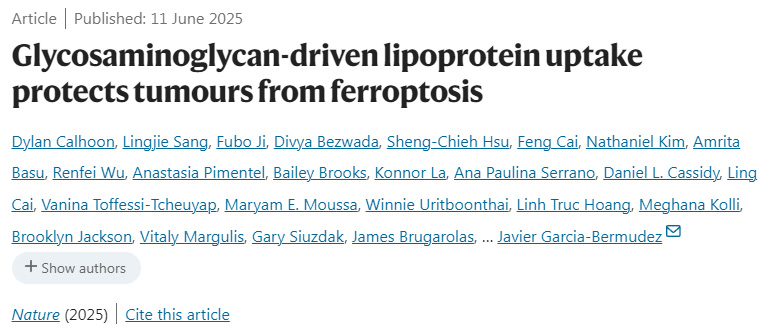 糖胺聚糖驅(qū)動的脂蛋白攝取可保護腫瘤免受鐵死亡影響