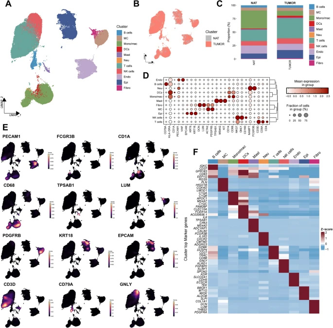  腎細(xì)胞癌的單細(xì)胞RNA測序分析