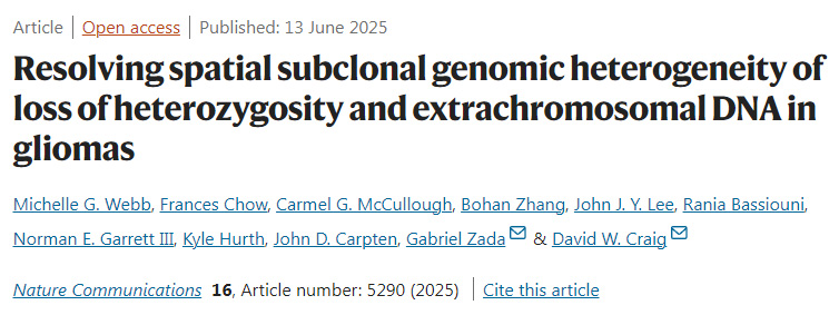 解析膠質(zhì)瘤中雜合性缺失和染色體外DNA的空間性亞克隆基因組異質(zhì)性