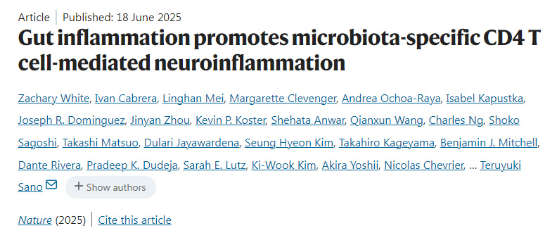 腸道炎癥促進(jìn)微生物群特異性CD4 T細(xì)胞介導(dǎo)的神經(jīng)炎癥