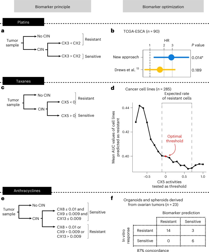  優(yōu)化用于預(yù)測泛癌種化療耐藥性的生物標(biāo)志物