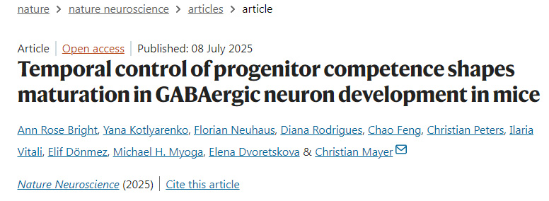時序調(diào)控祖細胞潛能決定小鼠GABA能神經(jīng)元發(fā)育的成熟過程
