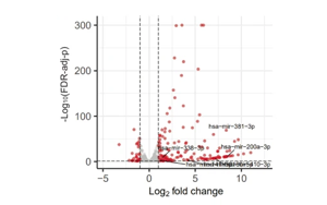 DNA去甲基化通過(guò)下調(diào)MNX1基因表達(dá)治療急性髓系白血病的新機(jī)制