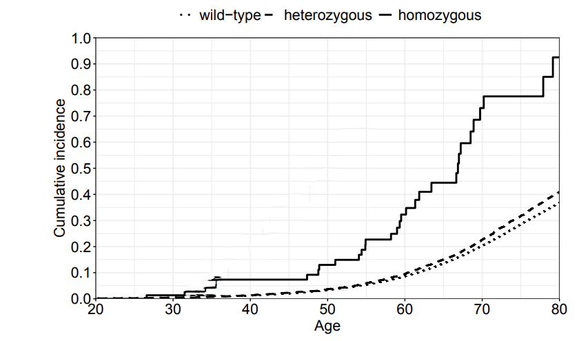 FANCM基因c.5101C>T位點(diǎn)純合突變攜帶者、雜合突變攜帶者及野生型（wt）個體的首次浸潤性癌癥累積發(fā)病率
