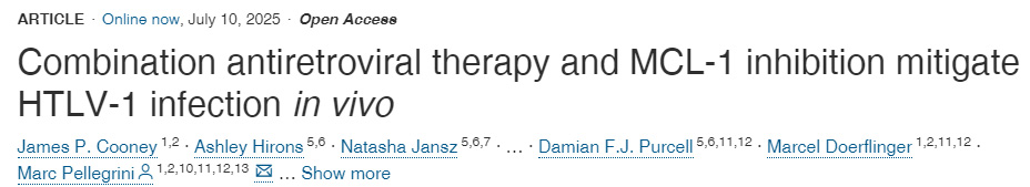 體內(nèi)實驗表明：聯(lián)合抗逆轉(zhuǎn)錄病毒療法與MCL-1抑制可緩解HTLV-1感染