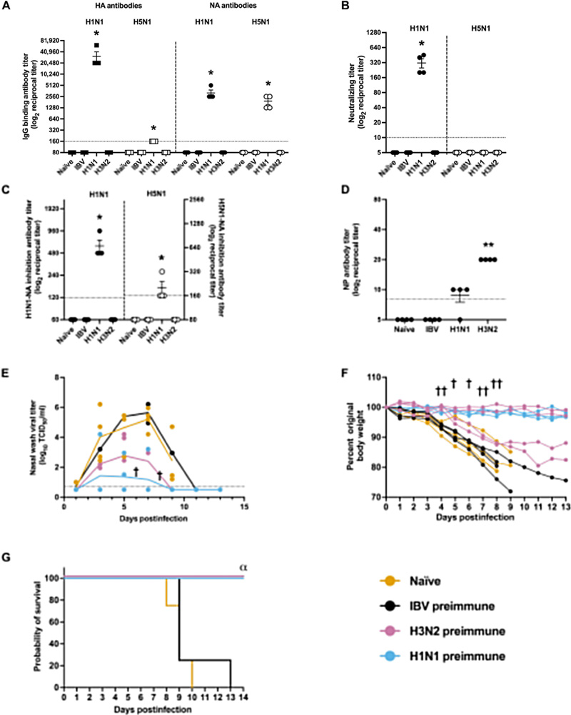 針對季節(jié)性H3N2病毒或2009年甲型H1N1流感病毒的預存免疫力，可有效預防雪貂因甲型水貂流感病毒（H5N1）感染引發(fā)的嚴重疾病
