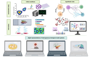 Cell：多年、多實驗室合作，科學(xué)家們成功模擬癌細胞