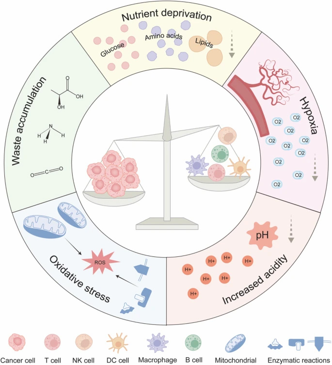 腫瘤微環(huán)境中的代謝壓力