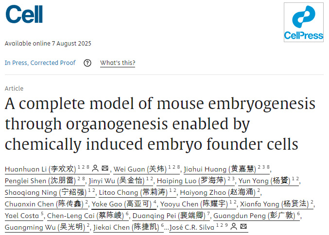 在化學(xué)誘導(dǎo)胚胎祖細(xì)胞支持下實(shí)現(xiàn)的小鼠胚胎發(fā)生至器官發(fā)生全過(guò)程模型 在化學(xué)誘導(dǎo)胚胎祖細(xì)胞支持下實(shí)現(xiàn)的小鼠胚胎發(fā)生至器官發(fā)生全過(guò)程模型