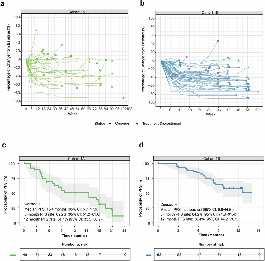 全分析集人群的療效
