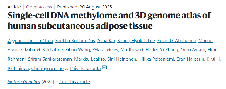 人類皮下脂肪組織的單細胞 DNA 甲基化組與三維基因組圖譜