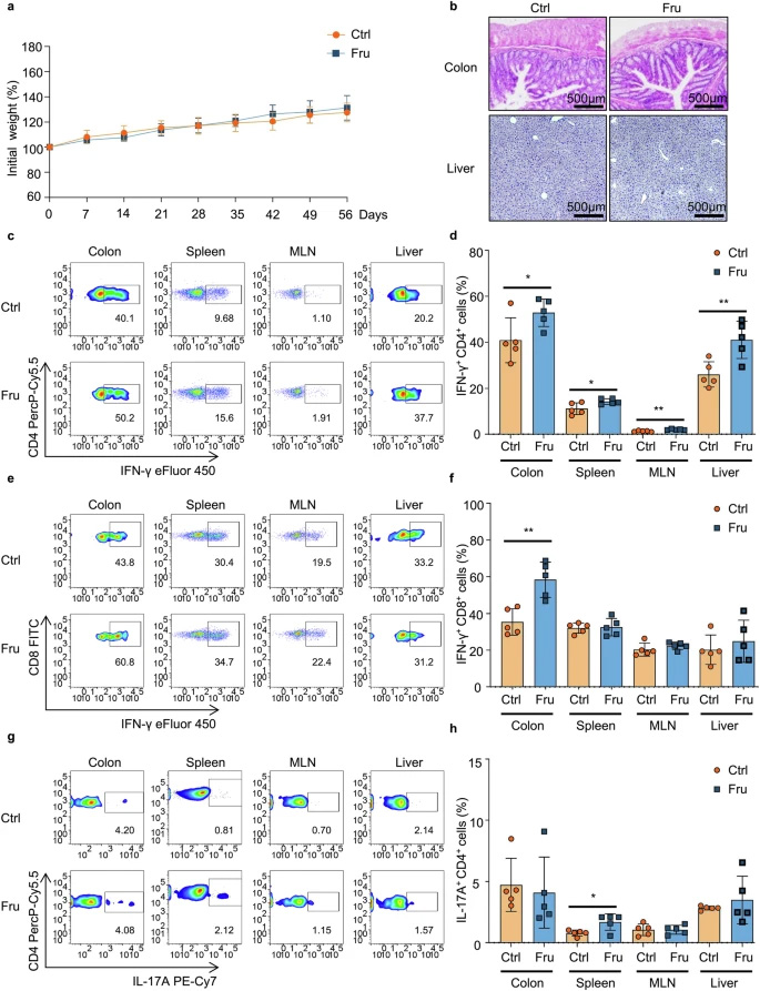 高果糖攝入會促進Th1和Th17細胞介導(dǎo)的免疫應(yīng)答