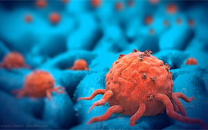 靶向β-連環(huán)蛋白共享突變的TCR-T細(xì)胞療法：實體瘤治療新突破