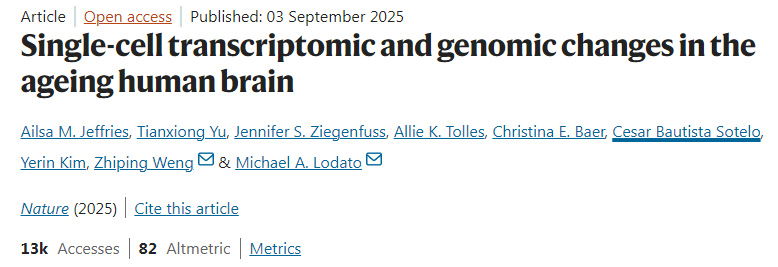 人類大腦衰老過程中的單細(xì)胞轉(zhuǎn)錄組與基因組變化
