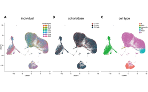 工程化細胞外囊泡（ILB-202）抑制NF-κB的安全性與抗炎作用：一項雙盲、隨機、安慰劑對照的I期臨床試驗