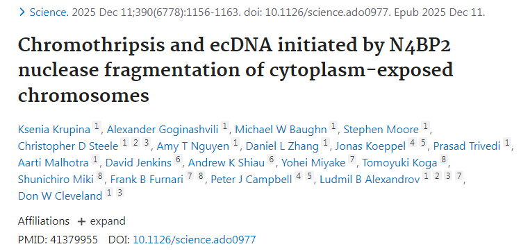 染色體碎裂與染色體外環(huán)狀DNA的形成由N4BP2核酸酶對(duì)胞質(zhì)暴露染色體的斷裂所引發(fā)