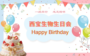 搶凳爭先鋒 奪魁樂無窮!西寶生物12月生日會快樂舉行
